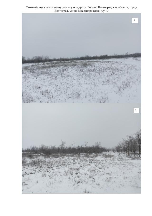 Лот 4025268